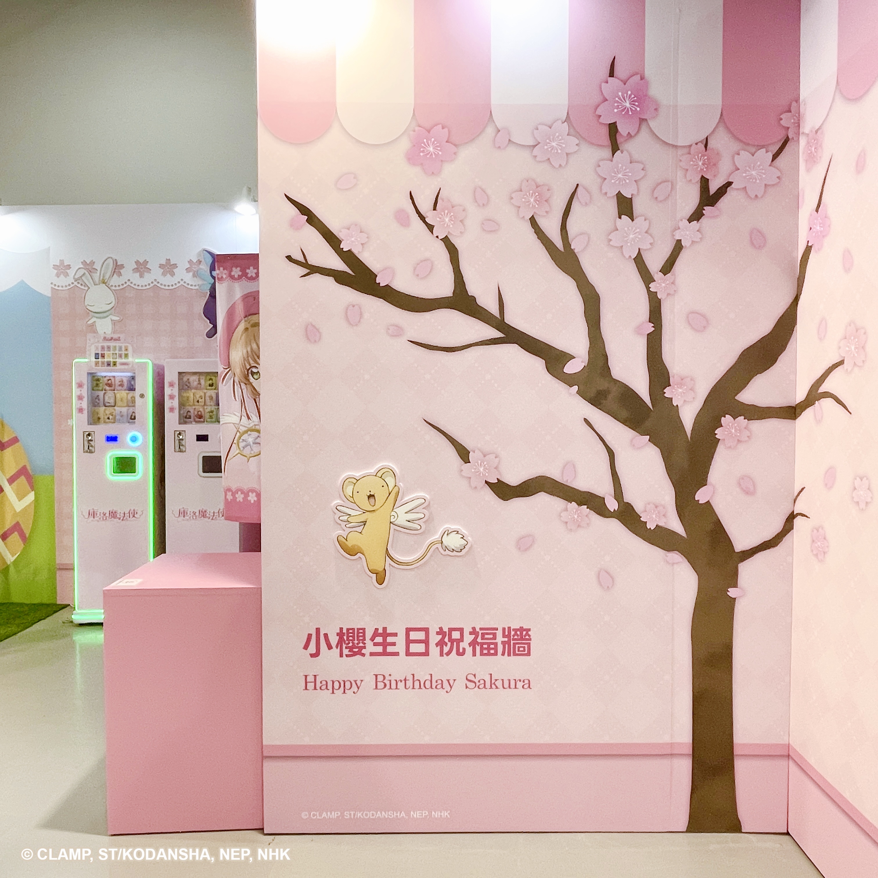 《庫洛魔法使 透明牌篇 春日粉櫻華山快閃店》小櫻生日祝福牆