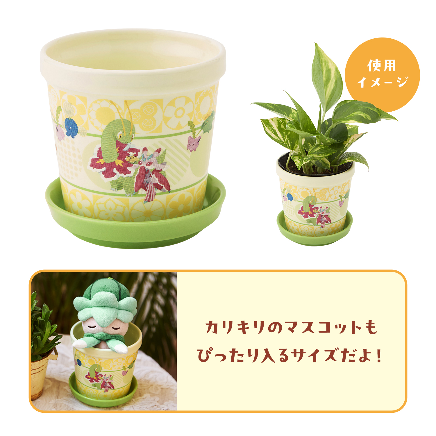 《Pokémon寶可夢 花田系列新品》創意花盆設計:打造寶可夢植物角落