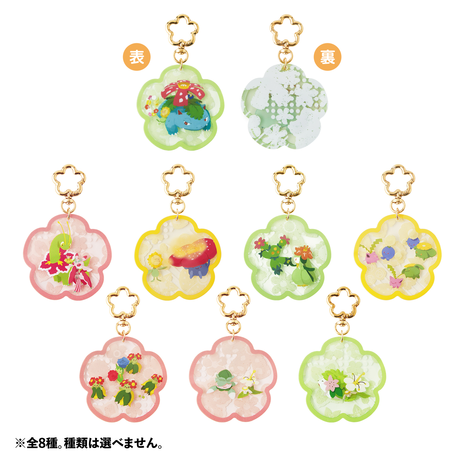 《Pokémon寶可夢 花田系列新品》壓克力鑰匙圈收藏