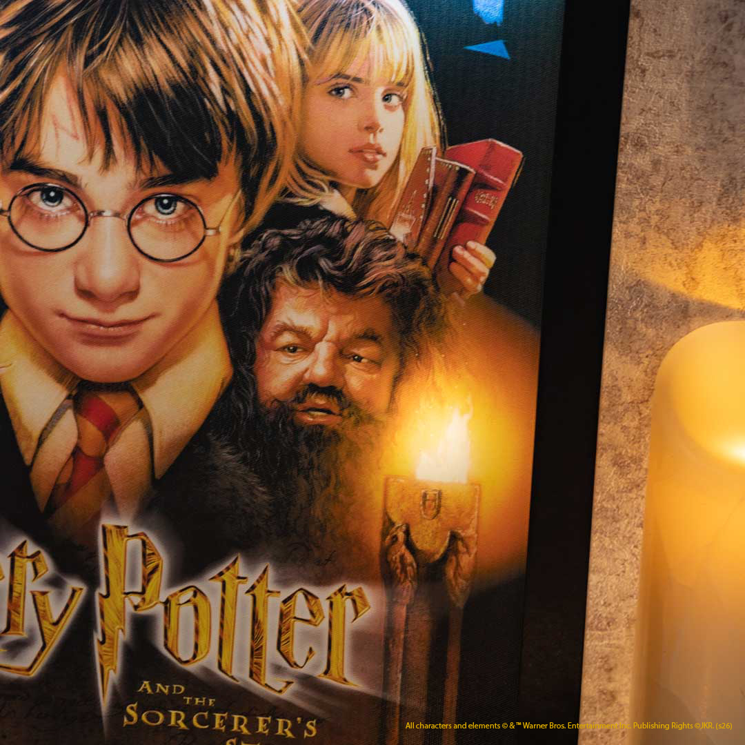 「Harry Potter - Mahou Dokoro」台灣常設店《哈利波特:神秘的魔法石》上映25週年新品「亮燈裝飾畫 哈利波特 神秘的魔法石」