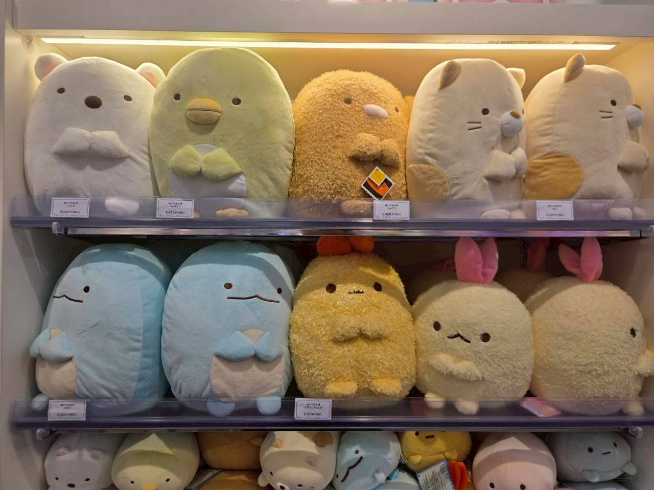 KIDDY LAND 新宿旗艦店|《角落小夥伴 Sumikko Gurashi Shop》其他周邊區