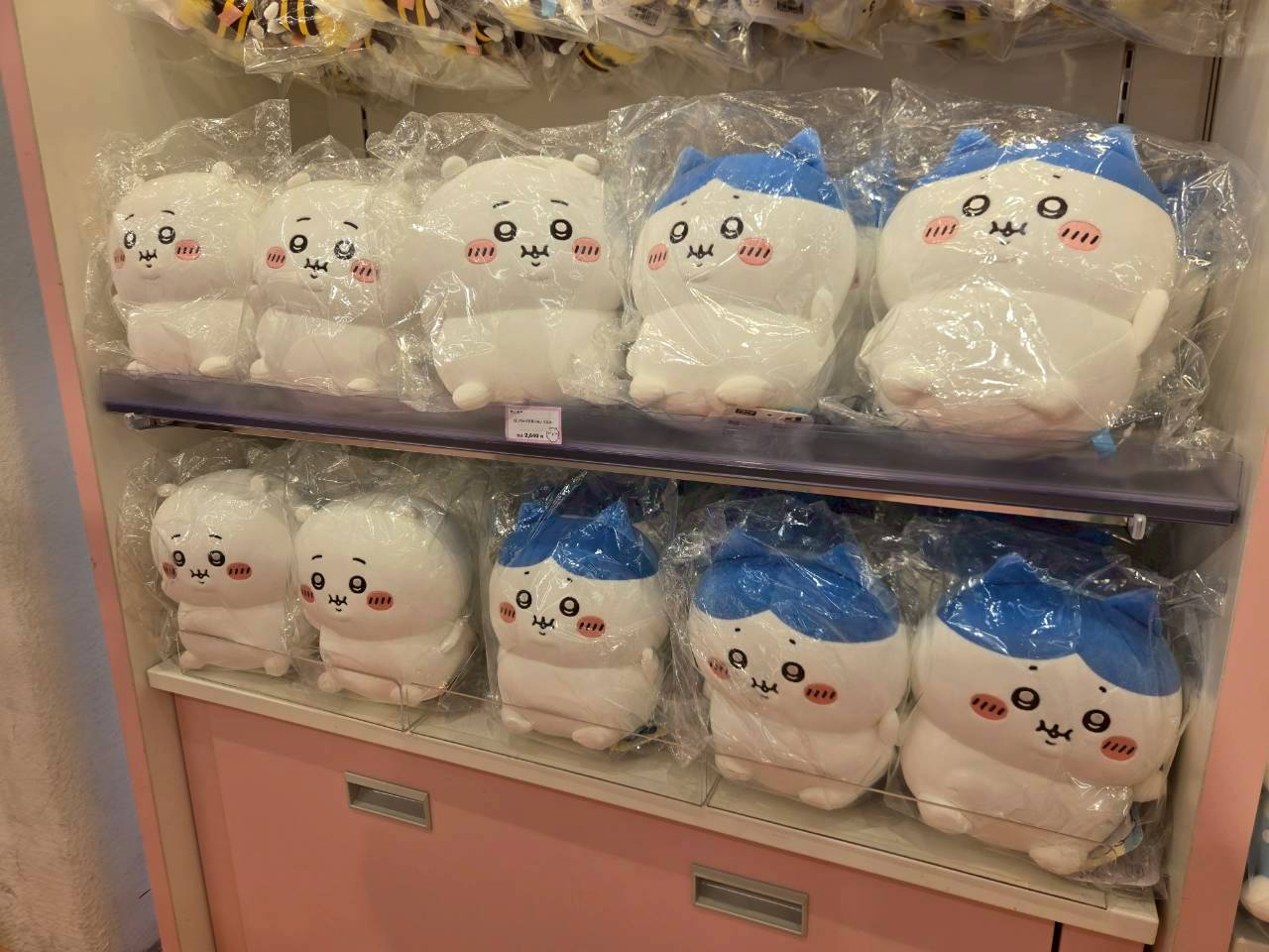 KIDDY LAND 新宿旗艦店|《Chiikawa吉伊卡哇》圓滾滾吉伊卡哇系列 絨毛玩偶