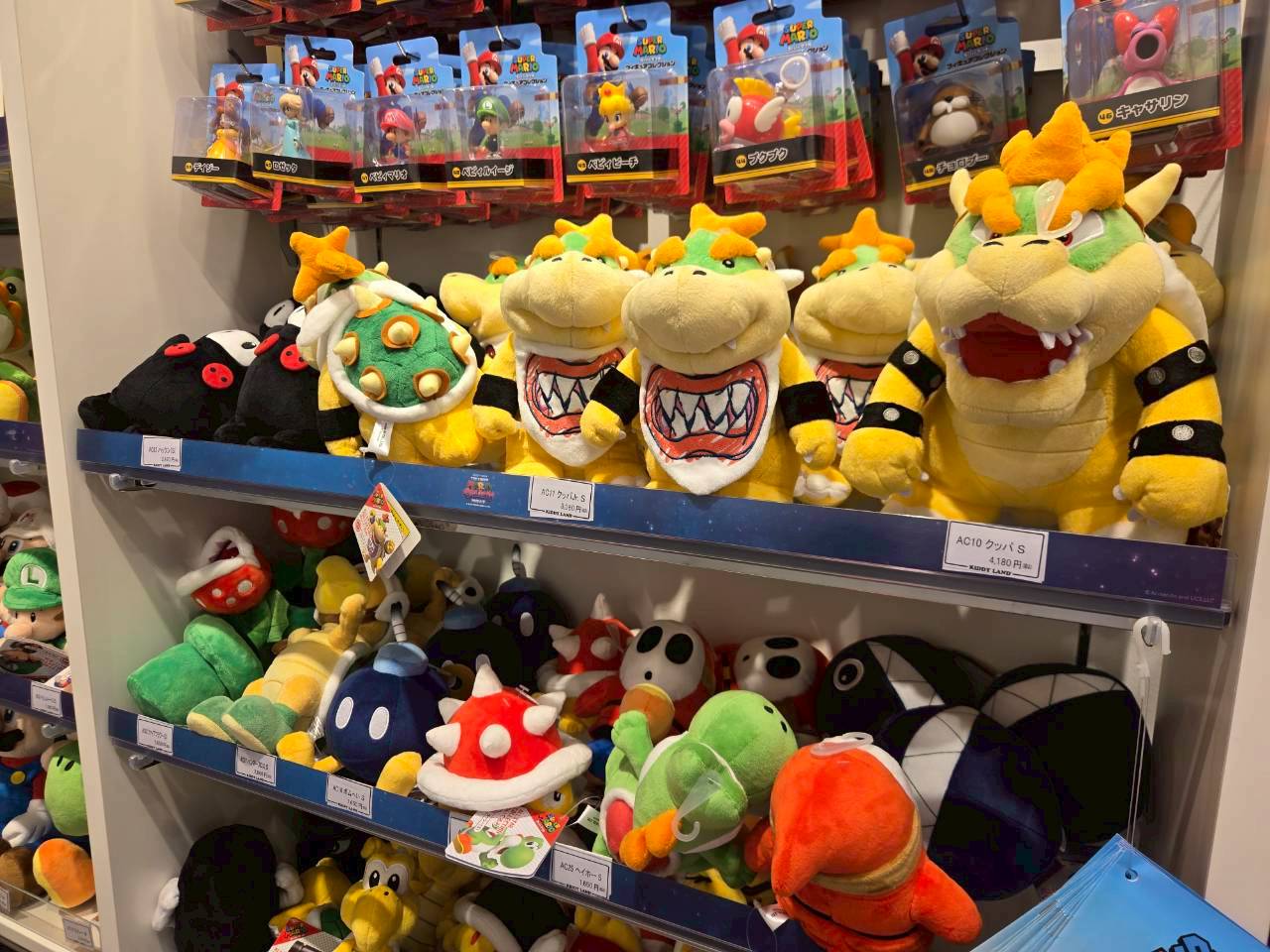 KIDDY LAND 新宿旗艦店|《超級瑪利歐銀河電影版》快閃店周邊 人氣商品