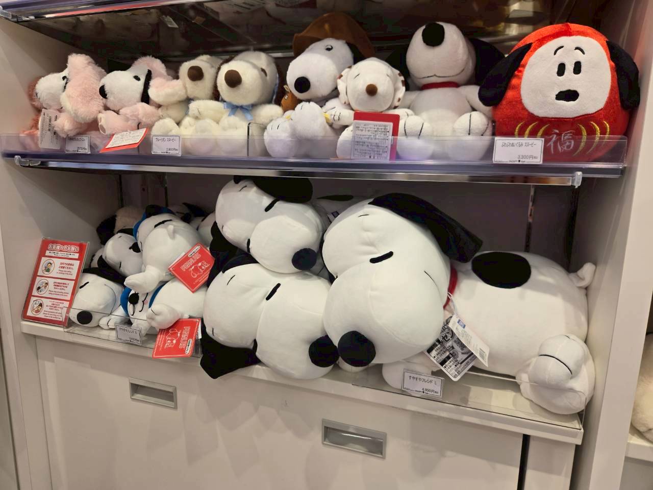 KIDDY LAND 新宿旗艦店|《史努比 Snoopy Town Shop》人氣周邊